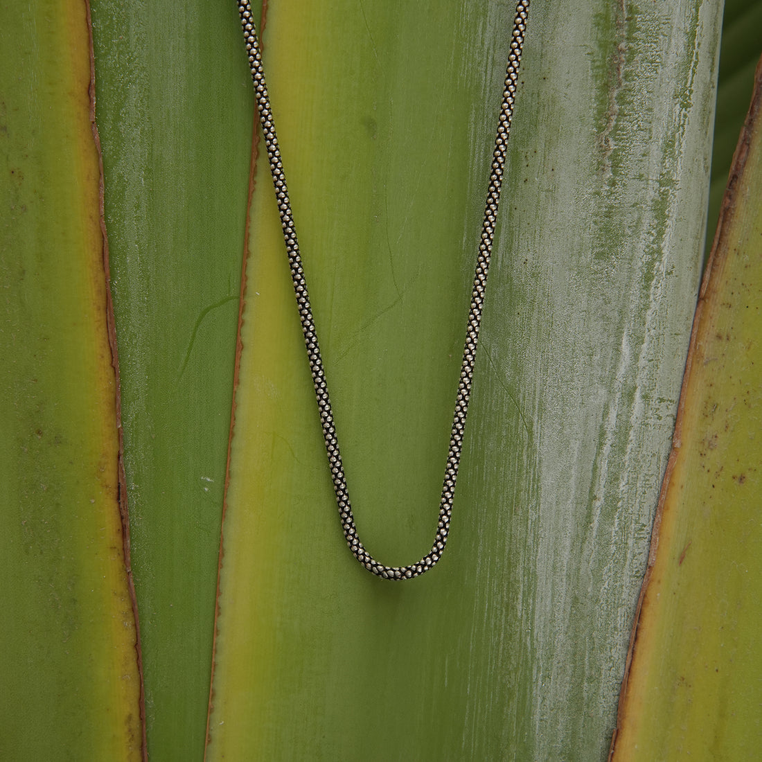 Black Forest Silver Chain